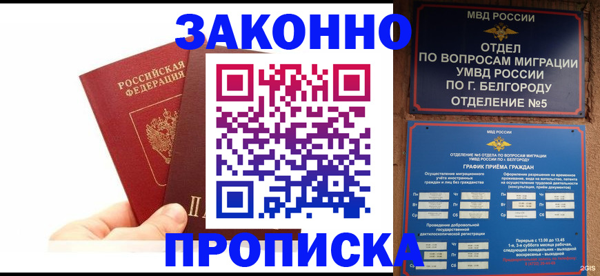 временная регистрация для школы в Нововоронеже
